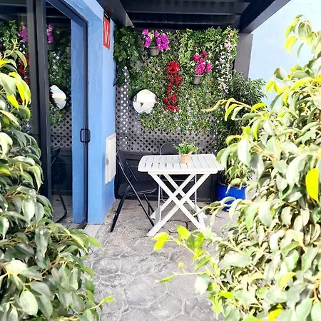 Tatil Evi Pearl In The Ocean *